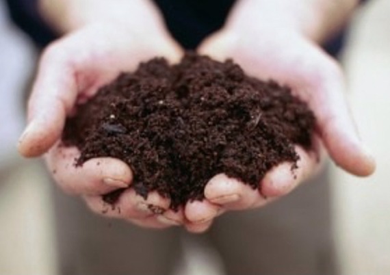 Growing Media for Compost, Bark, Sand Grits and Gravels
