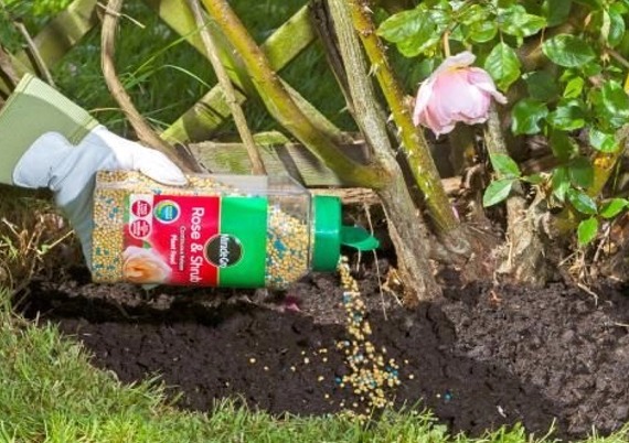 Plant feeds, miracle gro, bonemeal, blood fish and bones, phostrogen