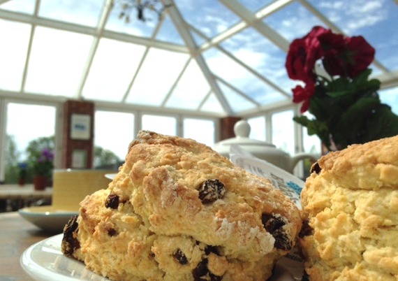 The Bear Cafe is well known for its famous home-made cheese or fruit scones accompanied with butter, jam or cream.