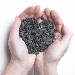 Honnor and Jeffrey's quality loose black sunflower seed, sold by the kilogram or in set amounts.