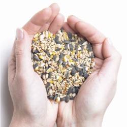 Honnor and Jeffrey's selected mix from Henry Bell & Co. Tailored for a range of popular birds.