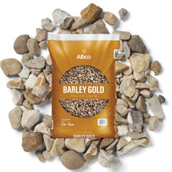 Altico Barley Gold