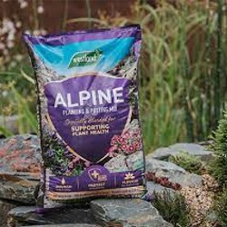 Westland 25 Alpine Compost