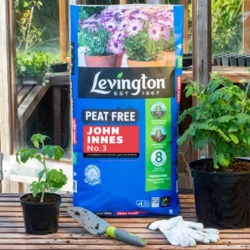 John Innes No3