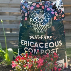 Rocket Gro Ericaceous Compost