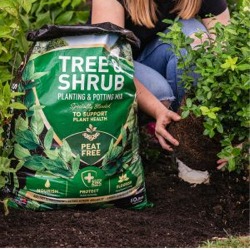 Westland 60 Litre Tree and Shrub Compost